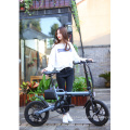 Different color 36v foldable electric bike 250w hot sale low price factory e bike with 16inch  Alloy rim Pedals